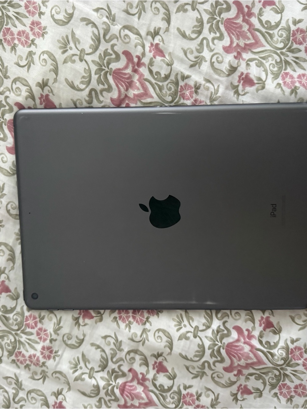 Apple iPad in Gray with Black Apple Logo